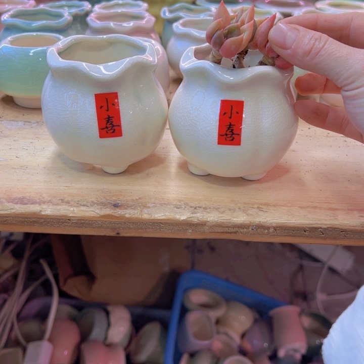 陶瓷花盆当场凑满12包邮