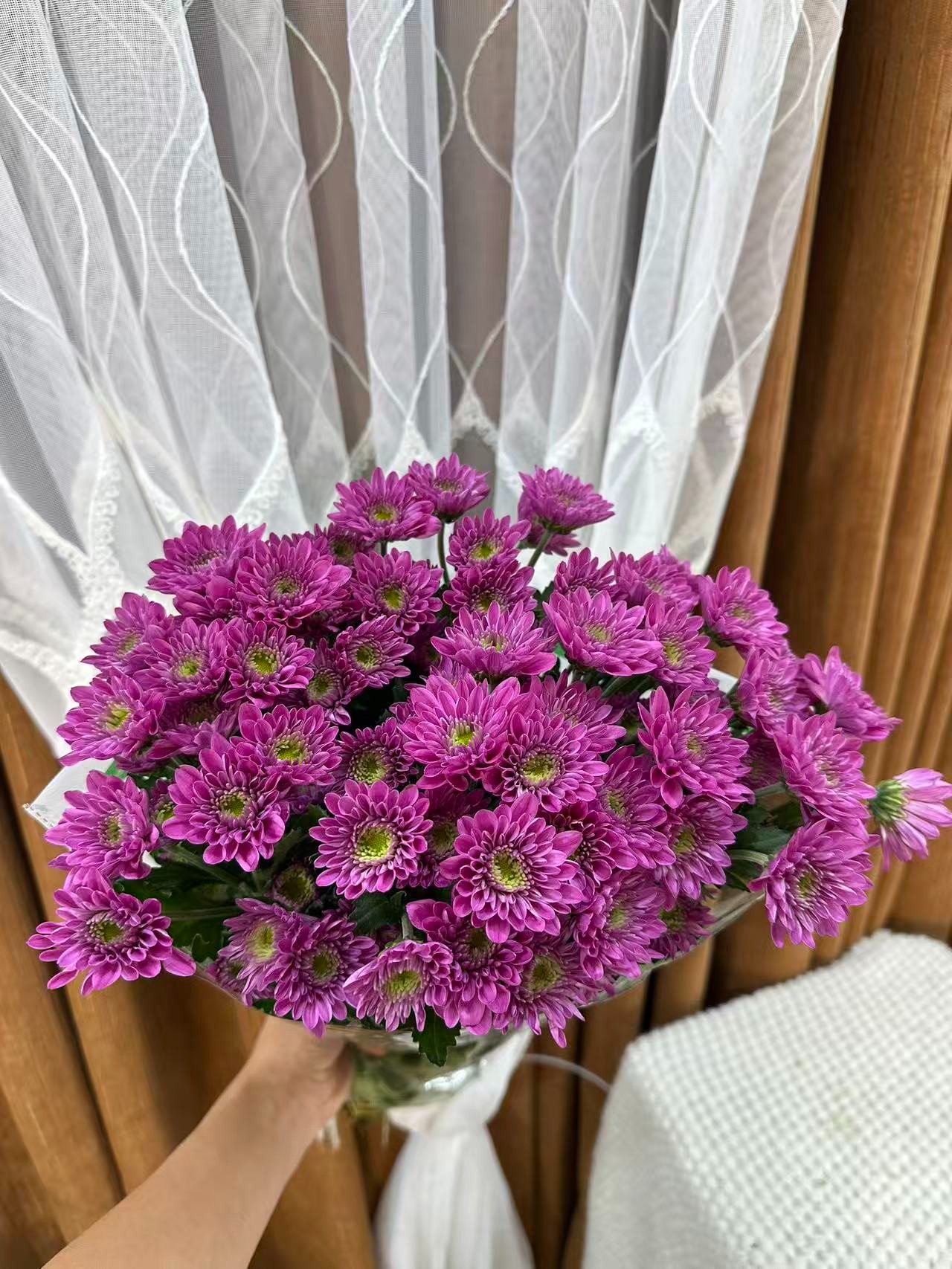 【安奎】多头鲜花小菊云南昆明基地直发精品鲜家庭水养插花