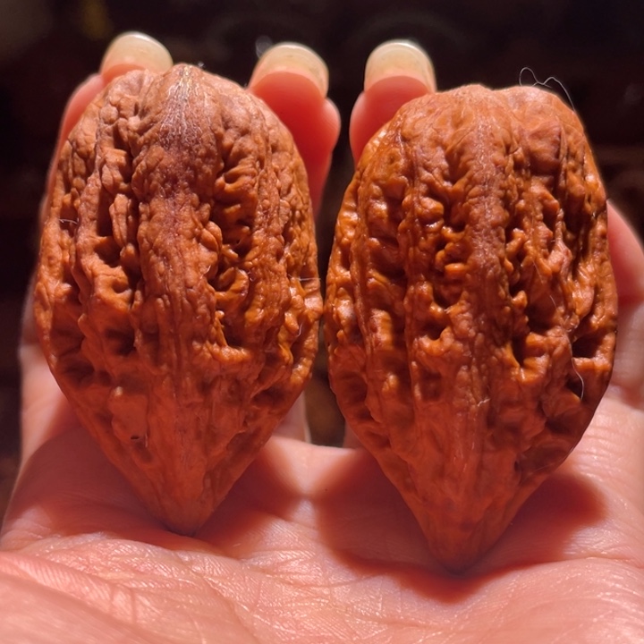 文玩核桃吊坠娇美楸28