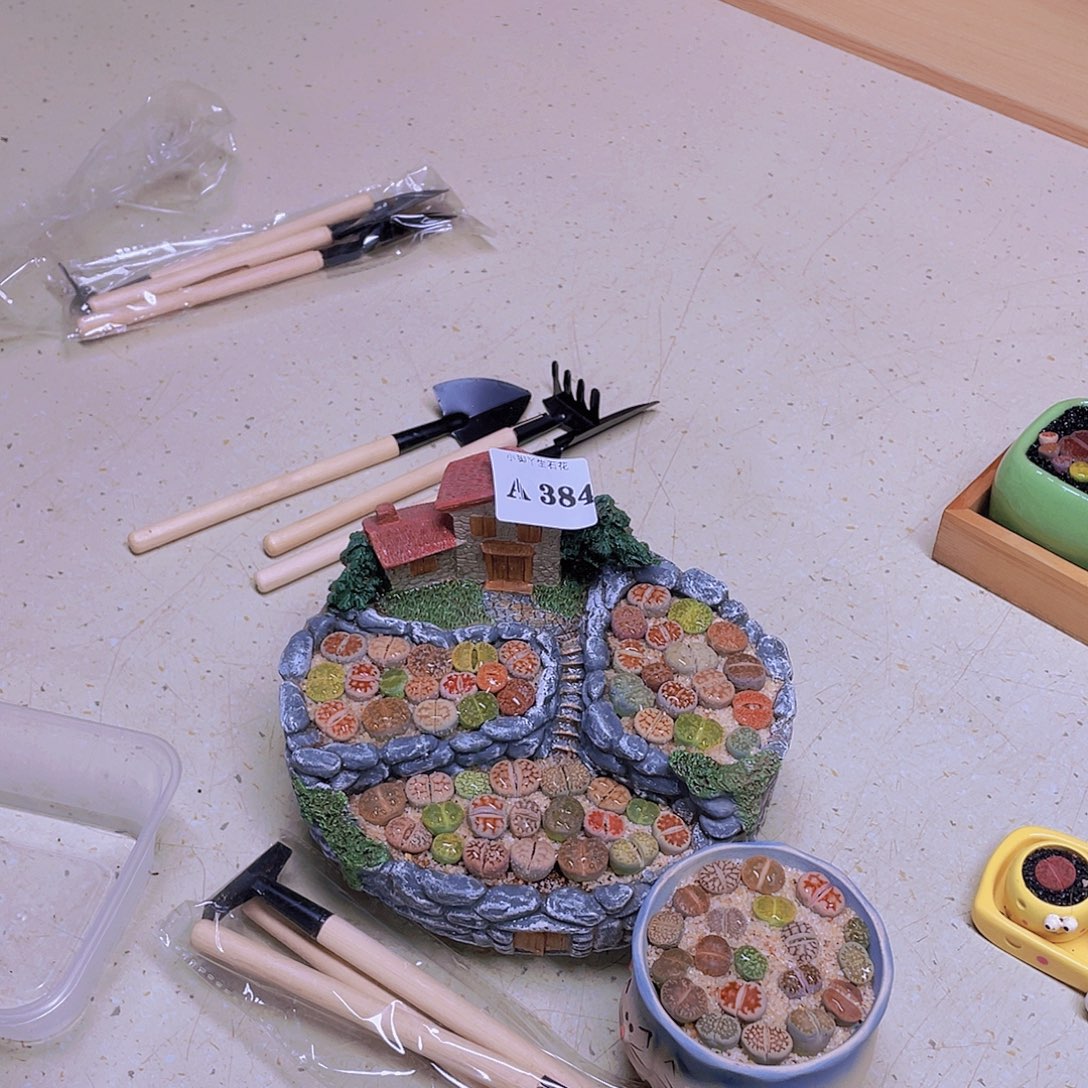 384……开播后的第一个节目是在电视