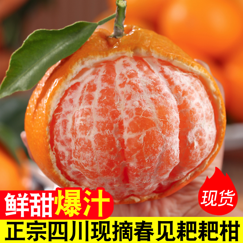 正宗四川春见耙耙柑3-8斤粑粑柑橘子新鲜水果当季丑桔八怪特甜