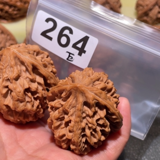 香***尔文玩核桃把件招财鼠42