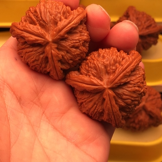 熏***孫核桃核桃核桃核桃核桃