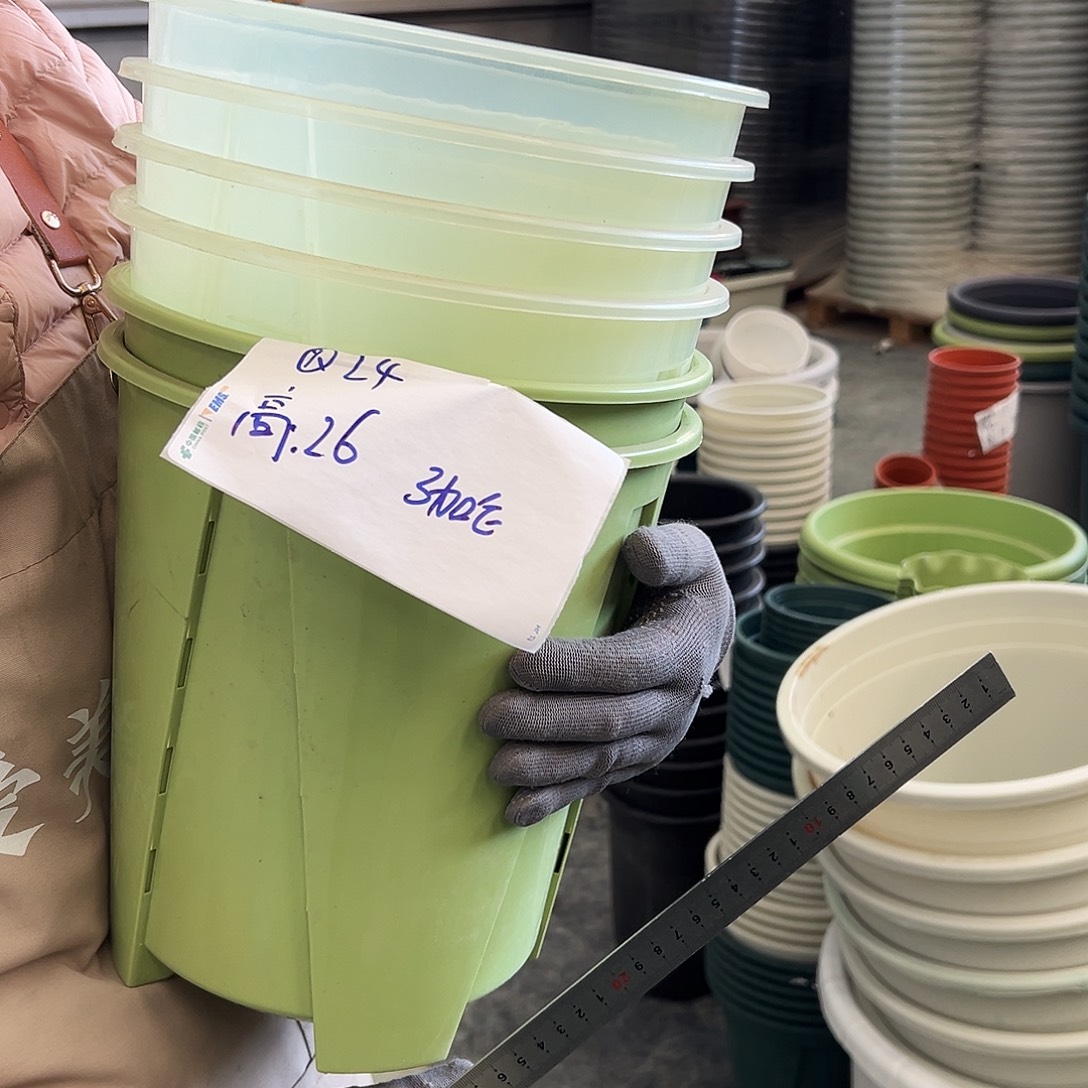 瑕疵Q24#混色6个无托