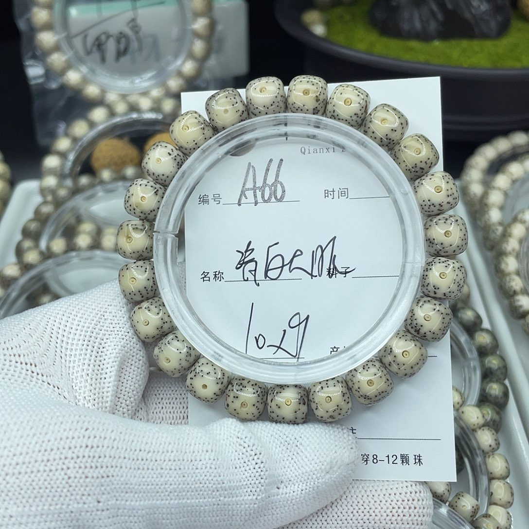 一***战星月菩提吊坠A66瓷白大眼