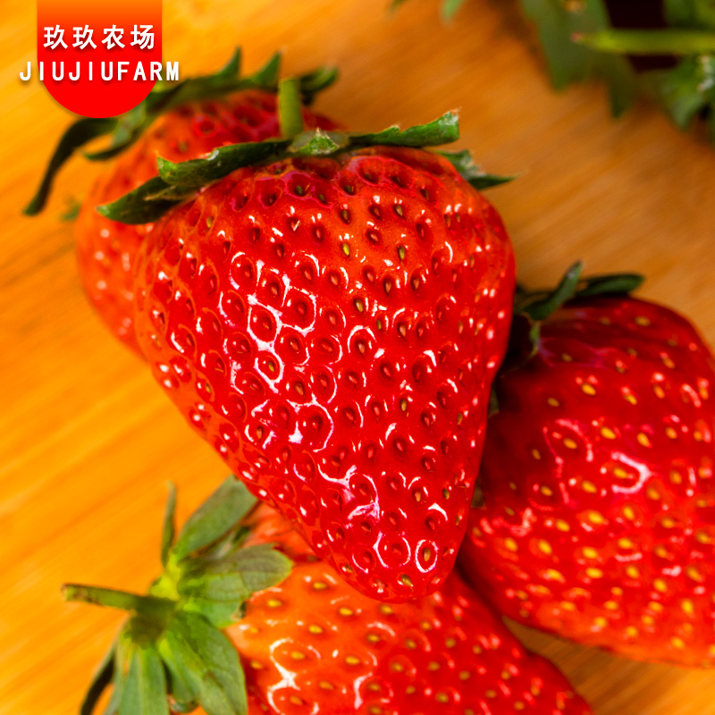【玖玖农场】辽宁丹东九九草莓1.8/2.8斤装