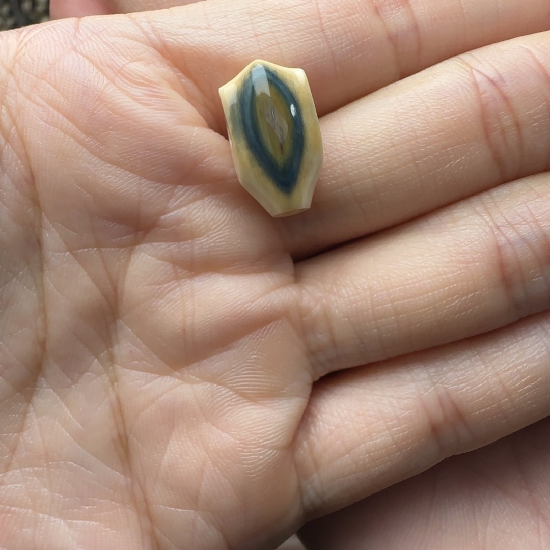 太***轻其他猛犸象牙天然保真猛犸牙蓝眼鲨鱼背三通