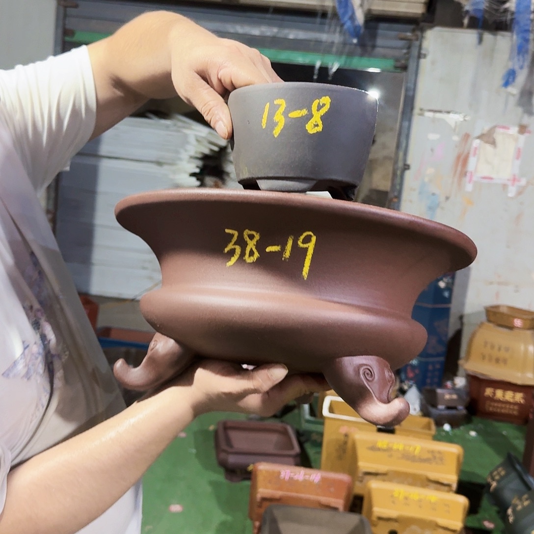 紫砂花盆紫砂花盆