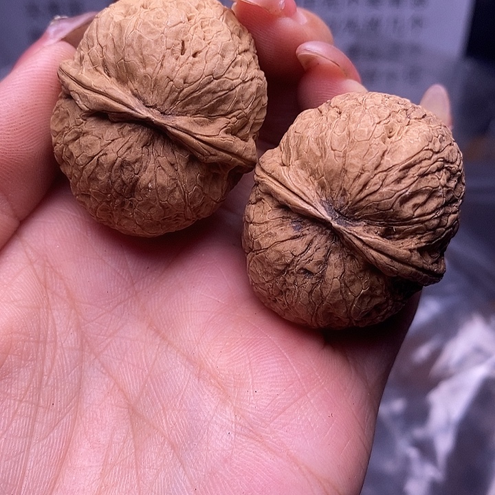 核桃云南野生铁核桃51号38mm