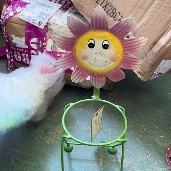 哈哈我也是很喜欢的呢