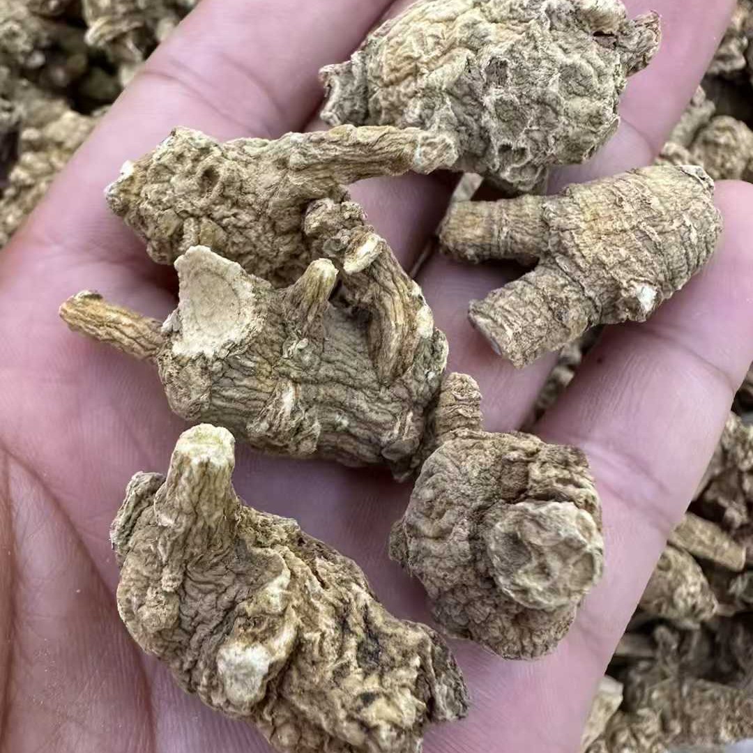 正宗长白山西洋参