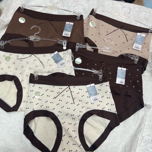 丹莱琦3328女士中高腰厚款磨毛秋冬季三角裤