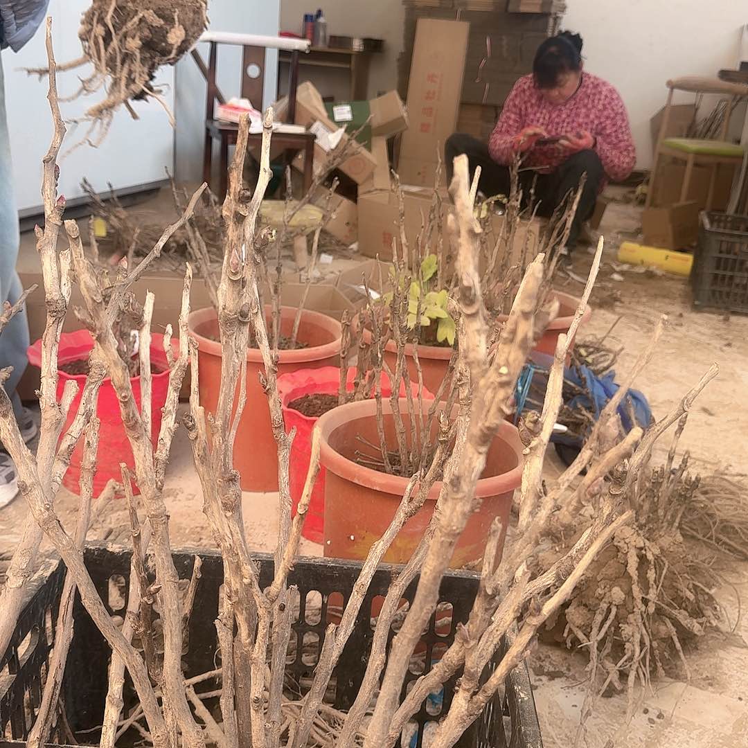 完全开放1111111111点半