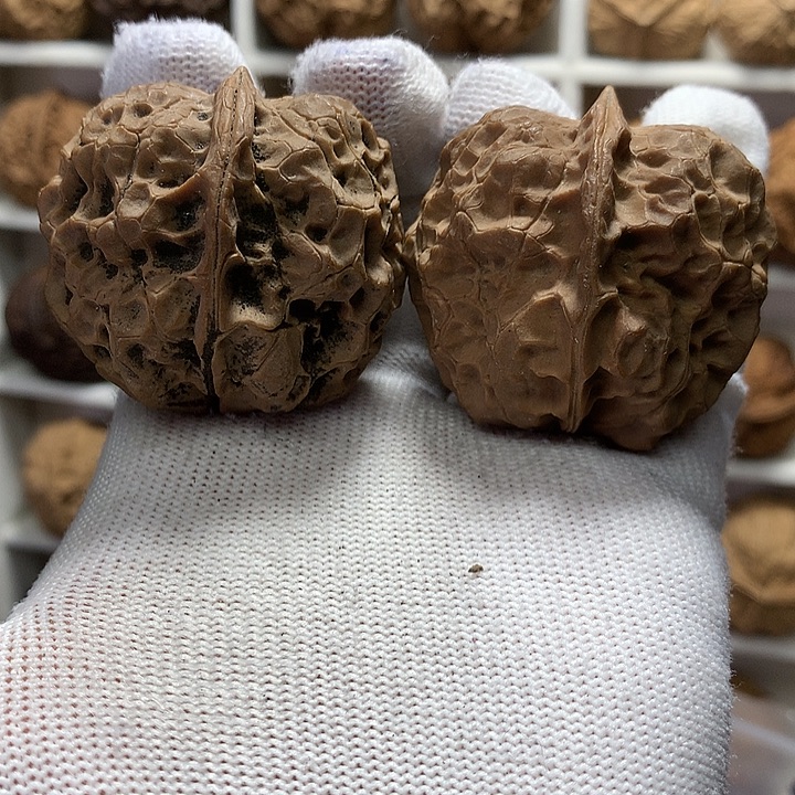 老***刀核桃43尺黄冠16号