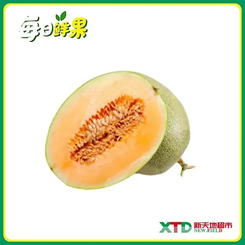 单枚西州蜜瓜约2斤~2.5斤/个.
