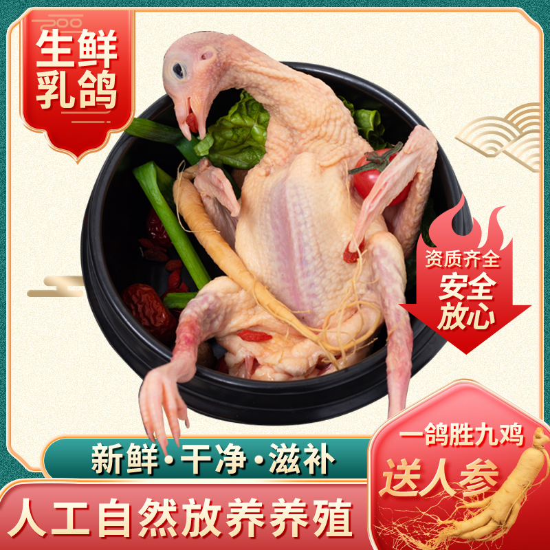 【买三送二】农家散养新鲜鸽子肉乳鸽土鸽子现宰杀真空顺丰包邮