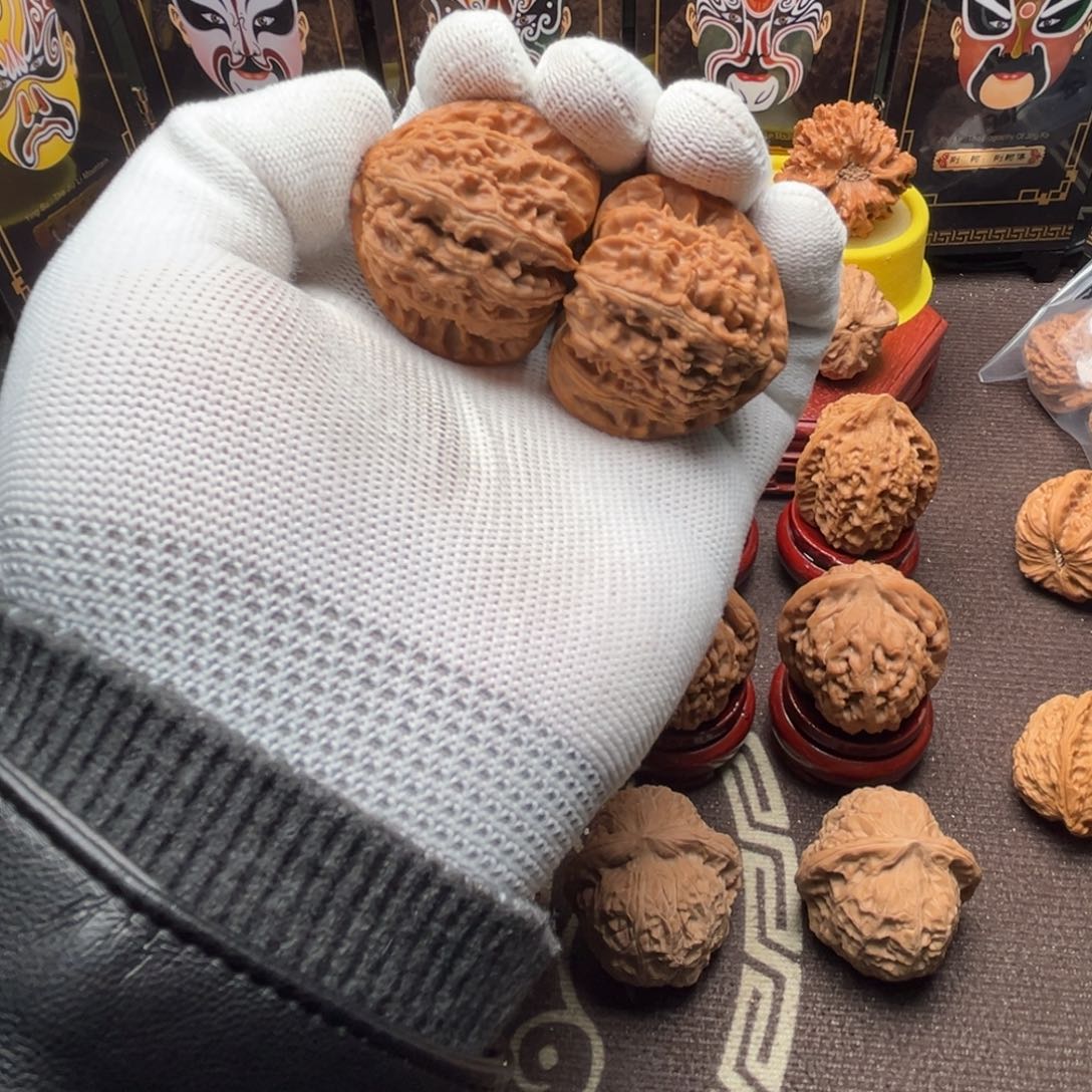 胖****核桃白狮子11111111