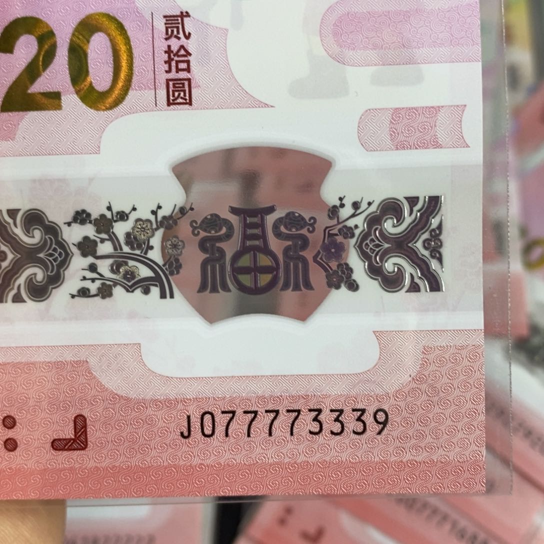 塑料3339。。。。。。。？