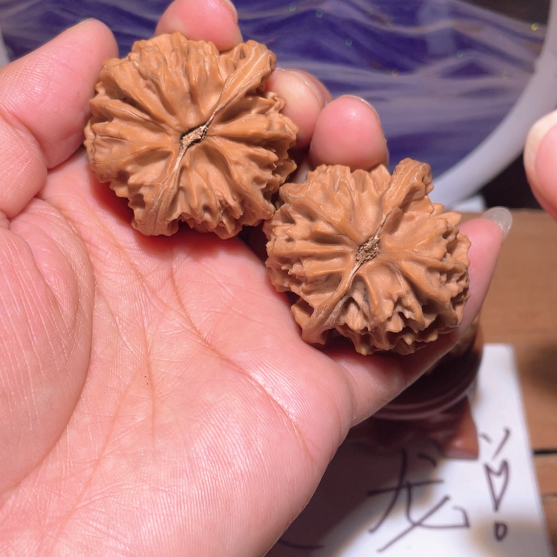 把件核桃?**1S541。40尺。 大龙
