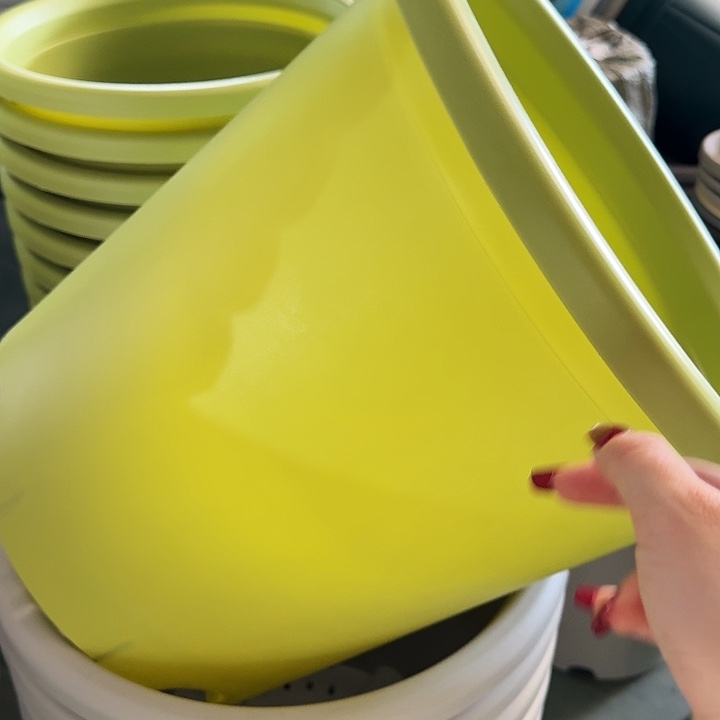 四季8号果绿无托5个特价微瑕