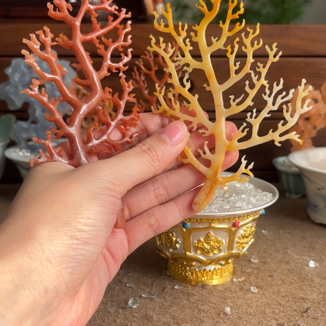 真***子印石昌化石杉湖两个