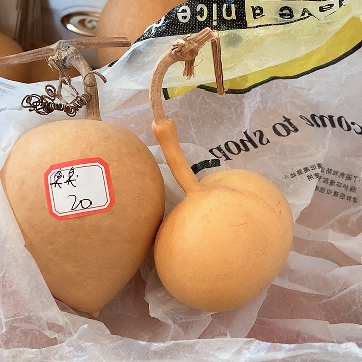 臭臭宝子恭喜发财