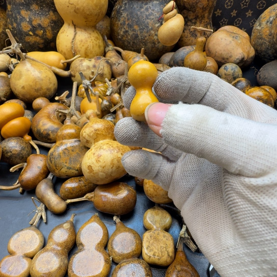 一***暘葫芦葫芦葫芦葫芦