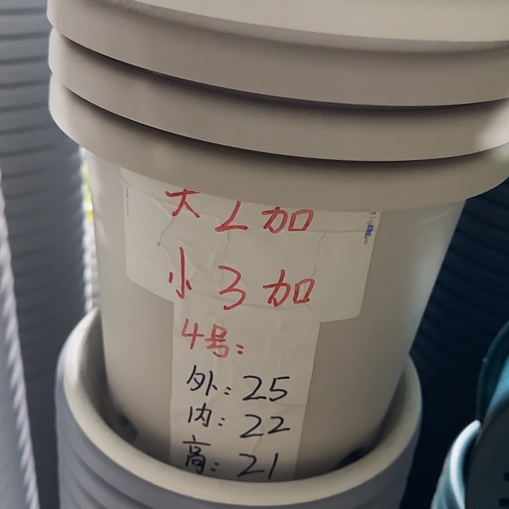 四季4号灰白无托10个特价