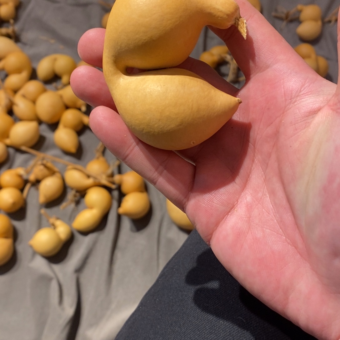 月***溪Aaaaaaaaaaaaaasaaaaaaaaaaa