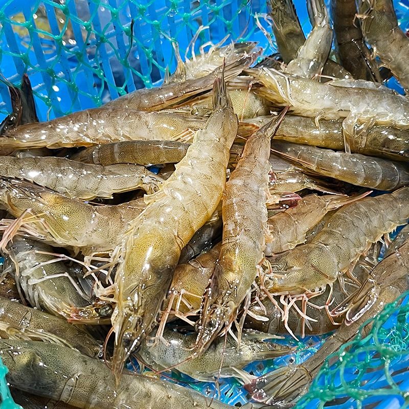 鲜活基围虾约250g大虾同城送