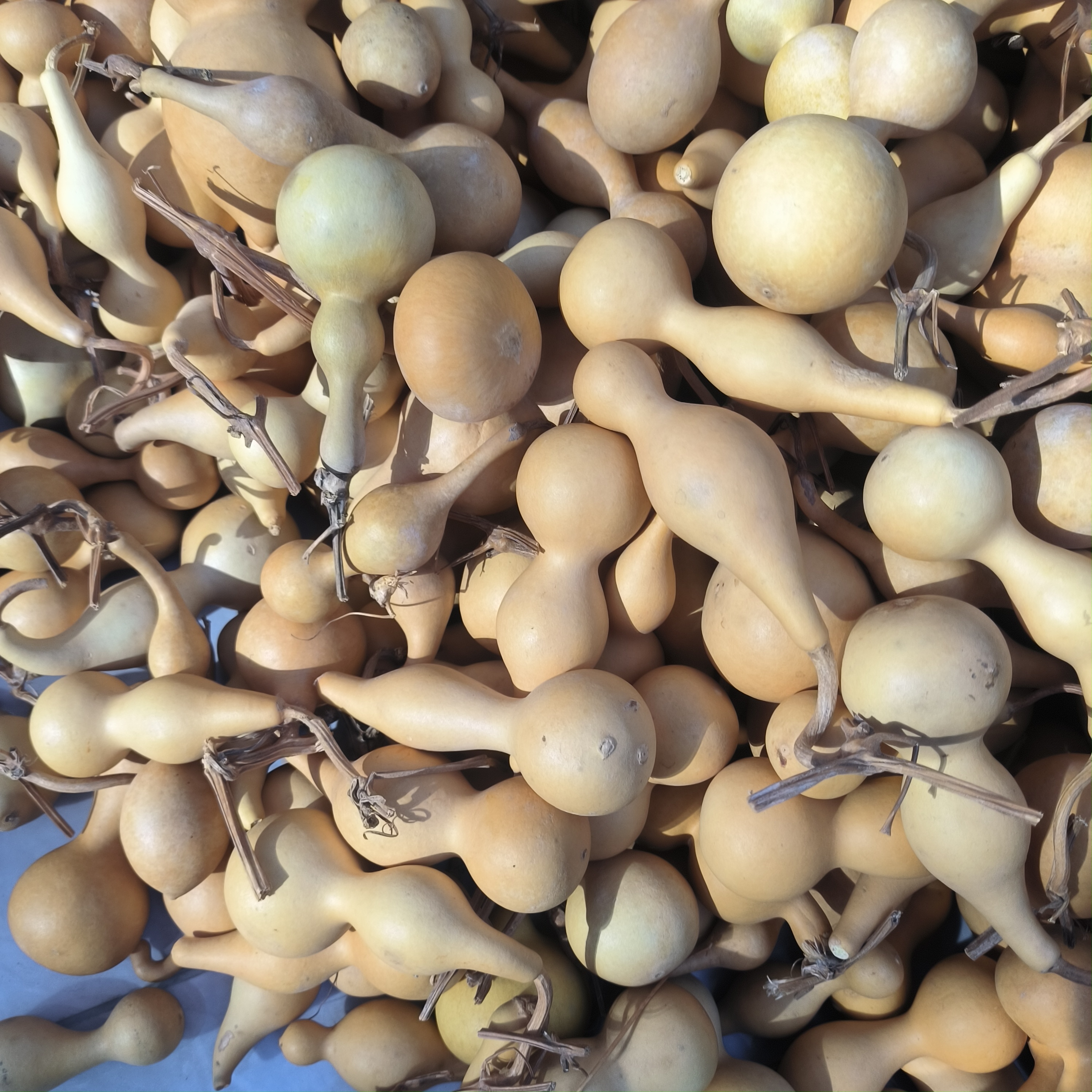 拍天然小葫芦默认微瑕，40个起拍