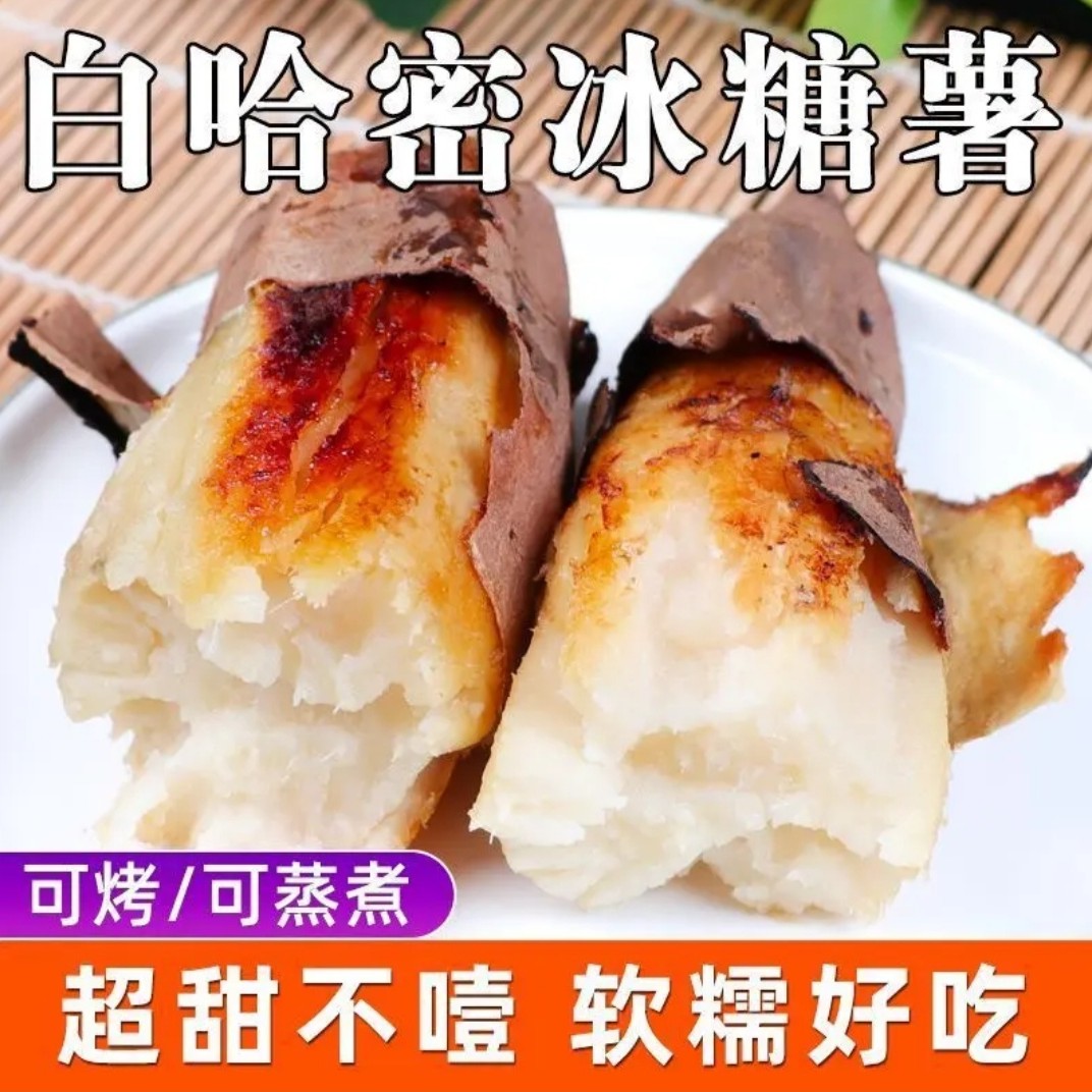 新鲜冰糖沙地哈密白心蜜薯可烤可熬煮粉糯香甜