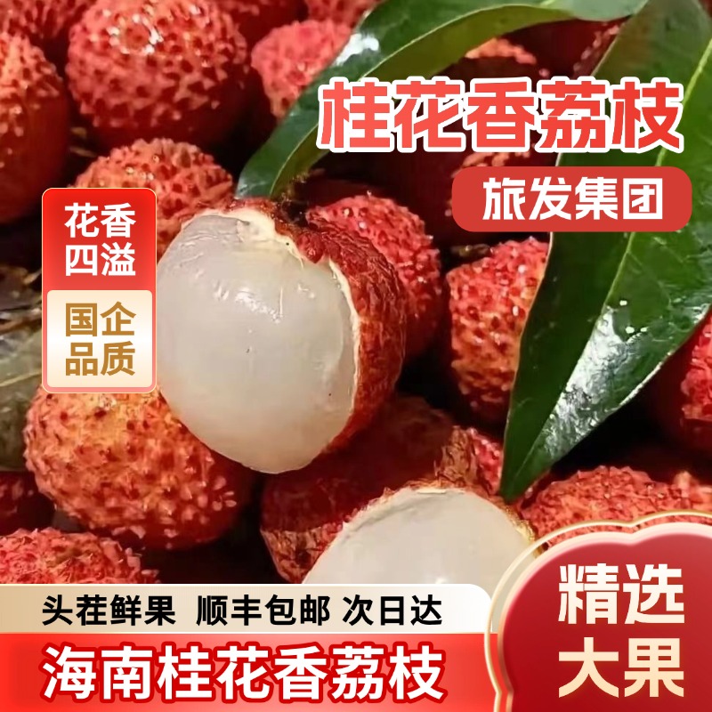 【顺丰包邮|次日达】海南头茬桂花香荔枝 30年老树现摘 旅发集团礼盒整箱净重2.5斤 精选大果海南省