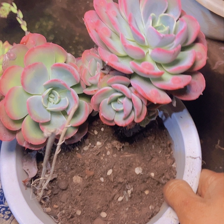 ?****✨这就是为什么不在这里上班