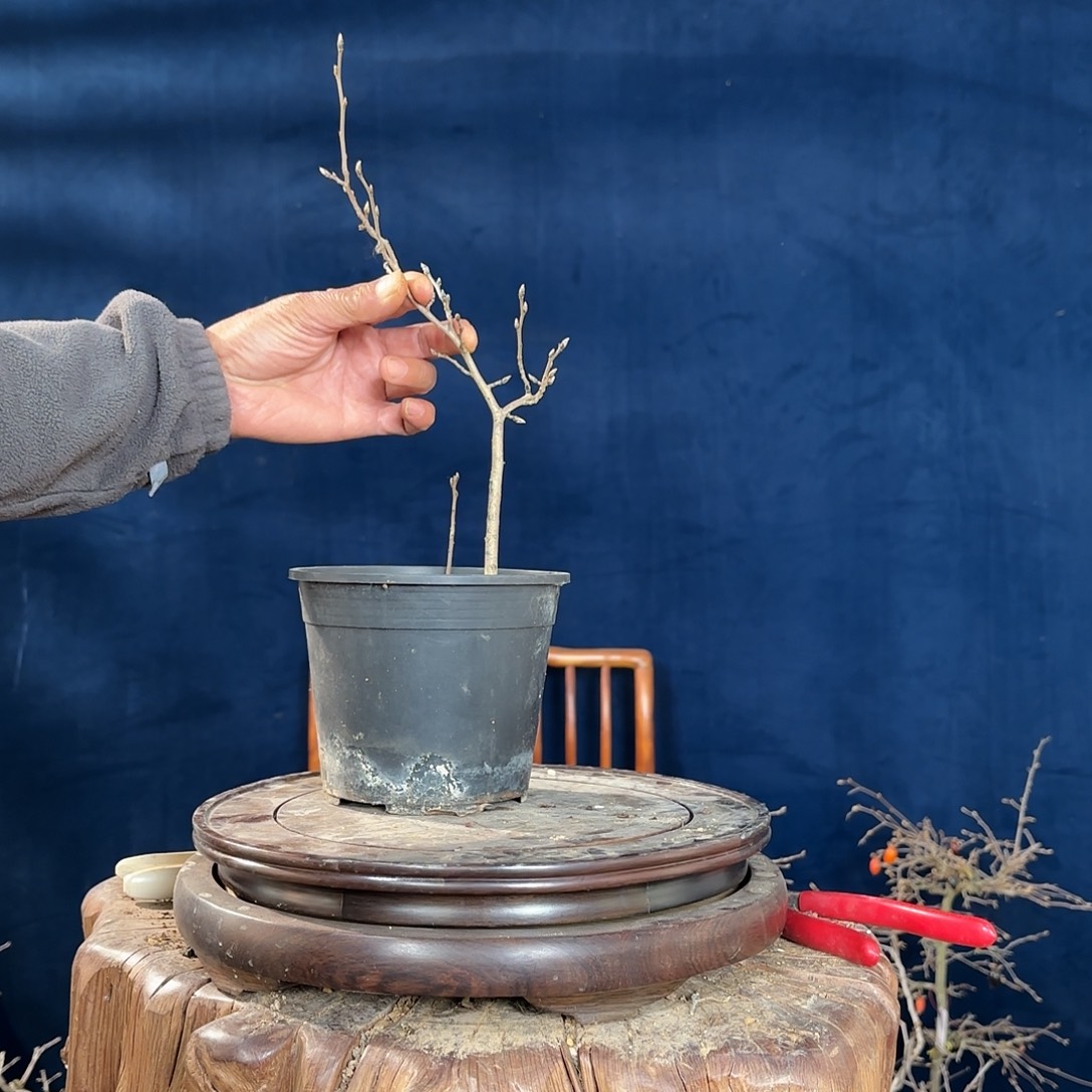 阳***光哈哈哈哈哈哈哈哈哈哈哈哈