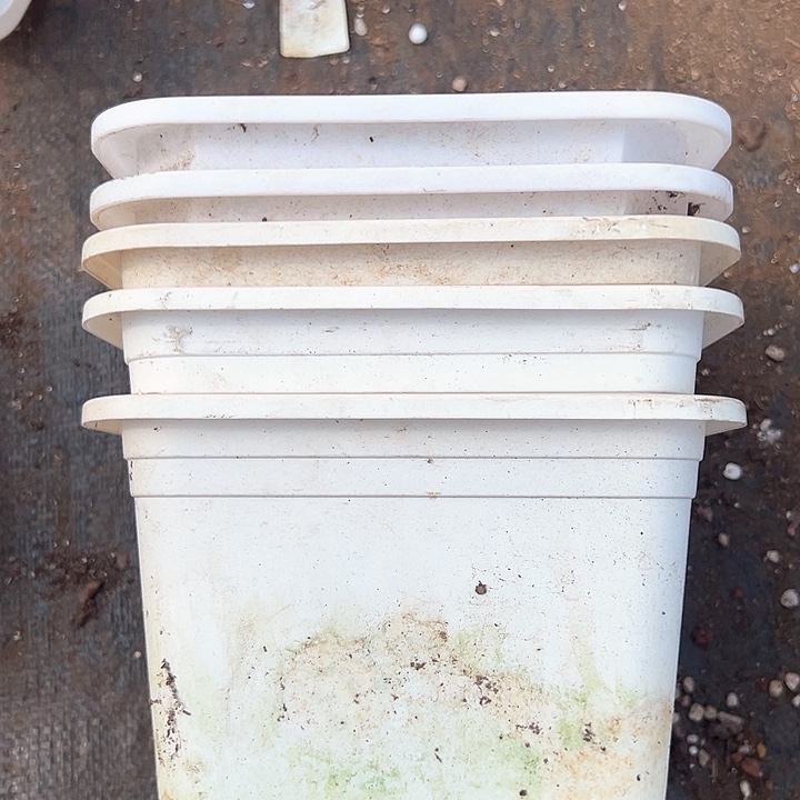 塑料17.5厘米口径