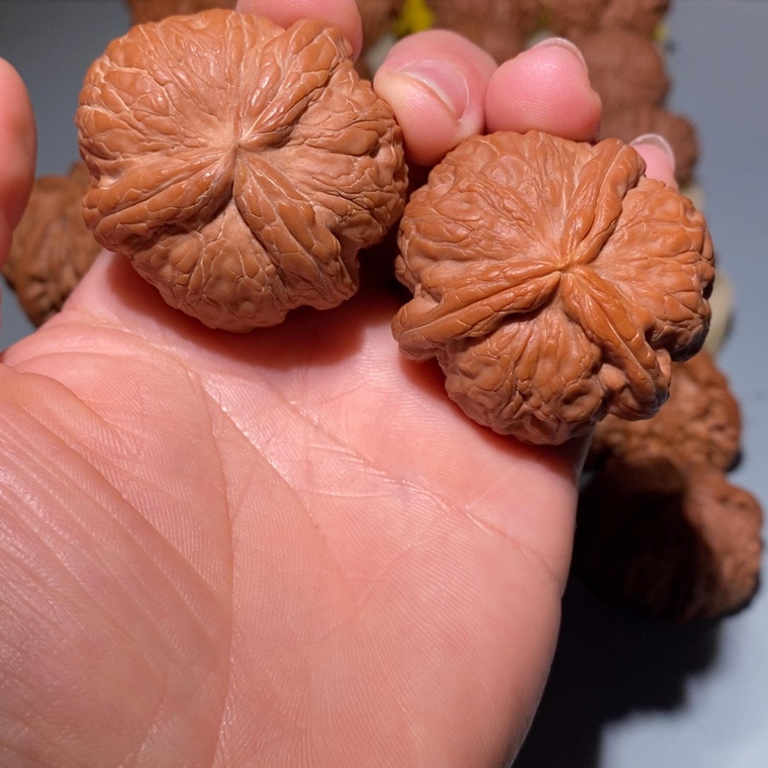 文玩核桃把件如****哥44三楞