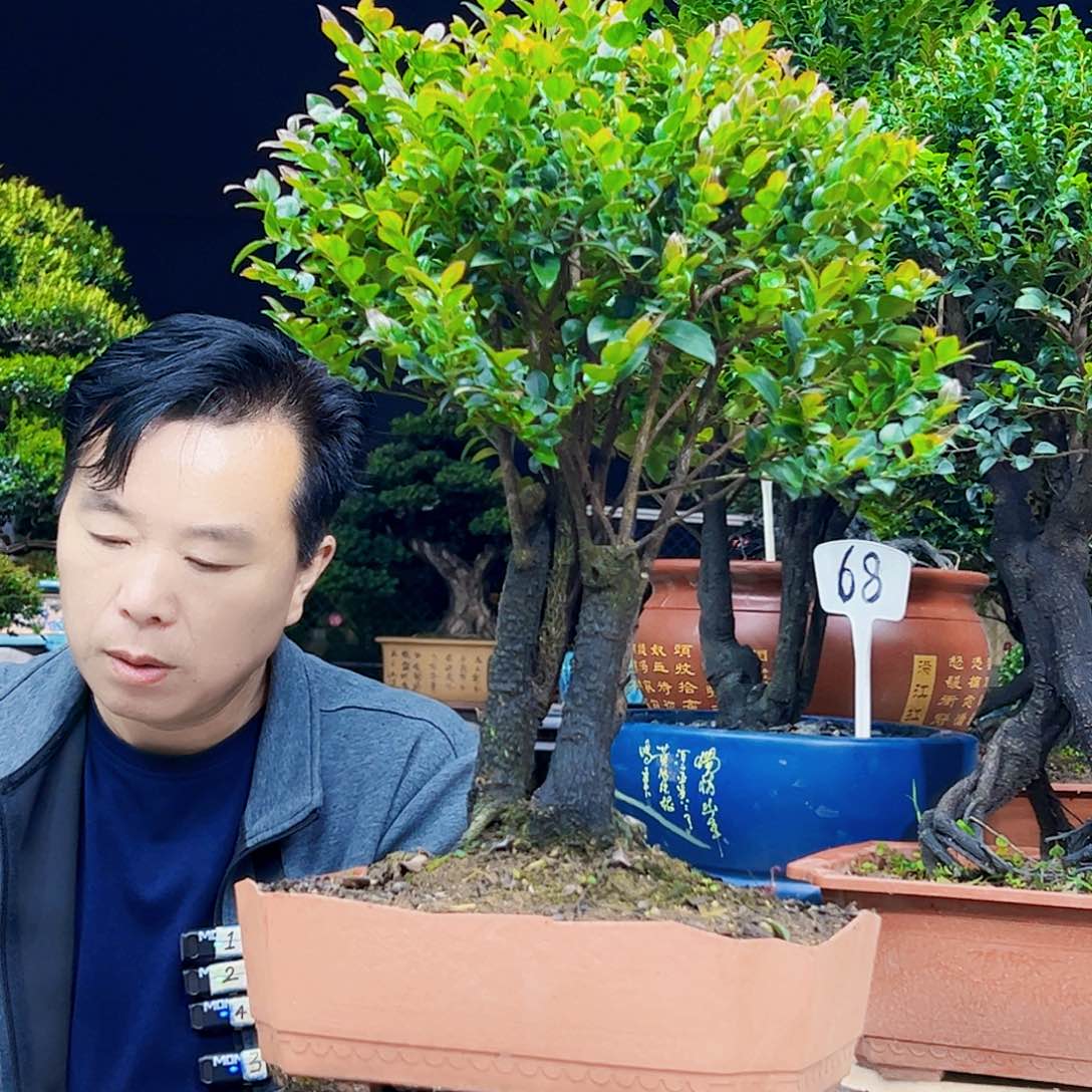 以实际为准行*112345678