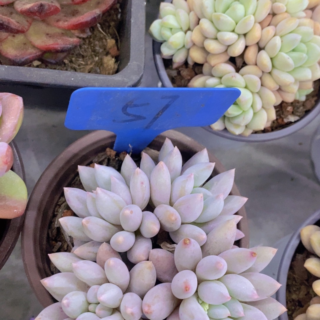 清货转场，一单包邮，满5宋1