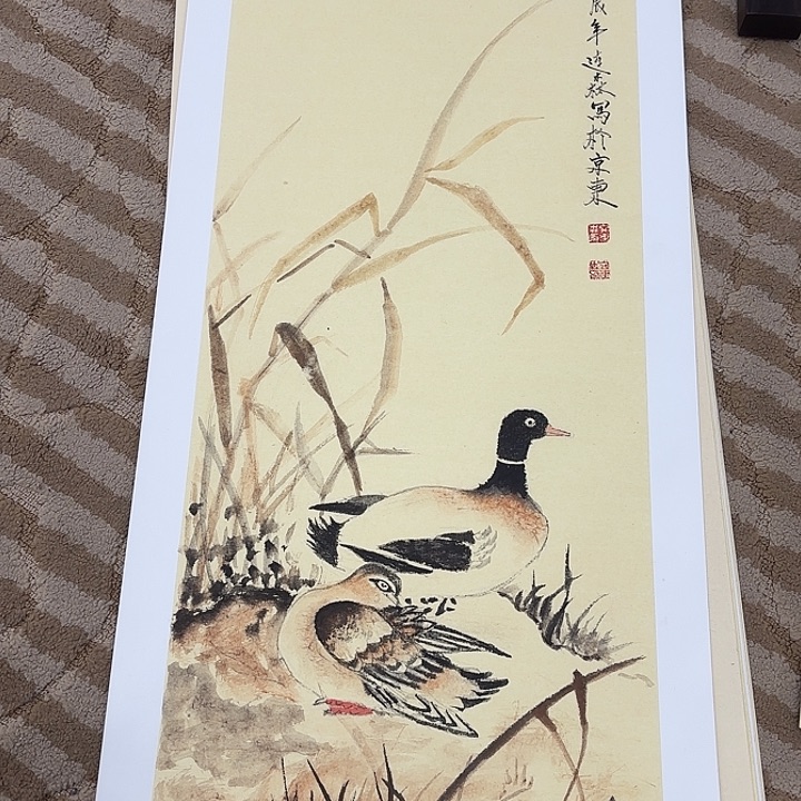 国画花鸟等多种鸟类的栖息地及栖息