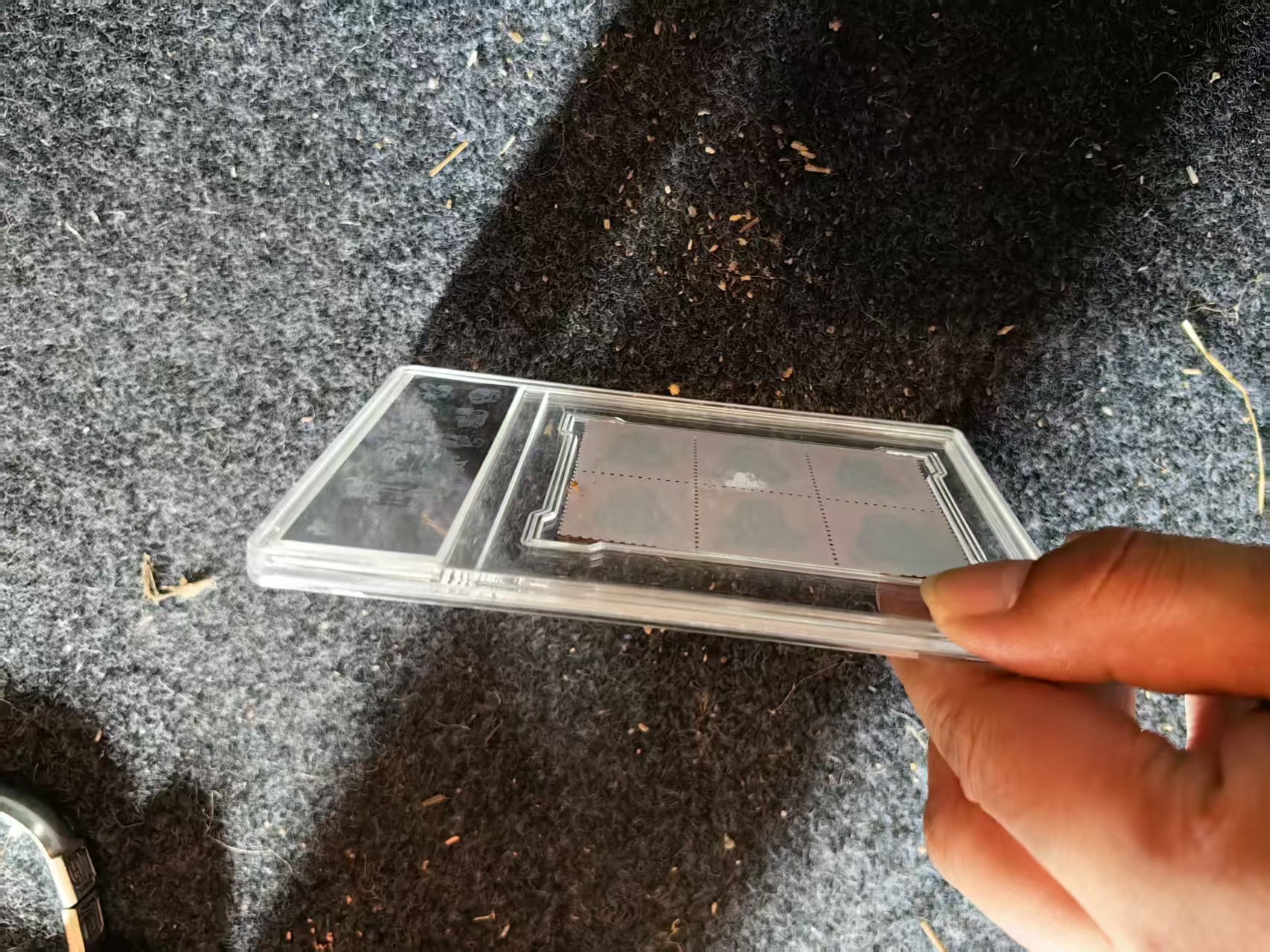 精版多猴精品摆件