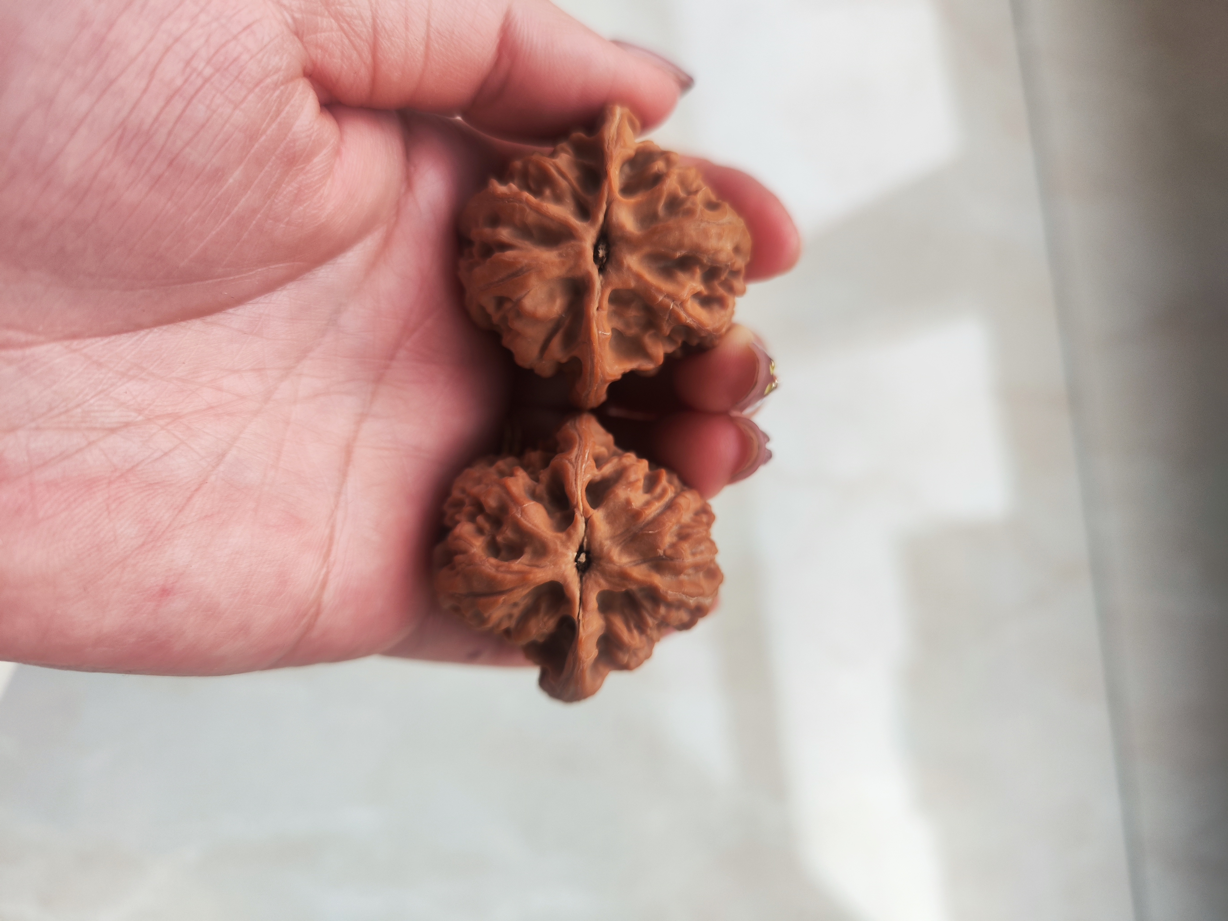 40尺梨木台文玩核桃