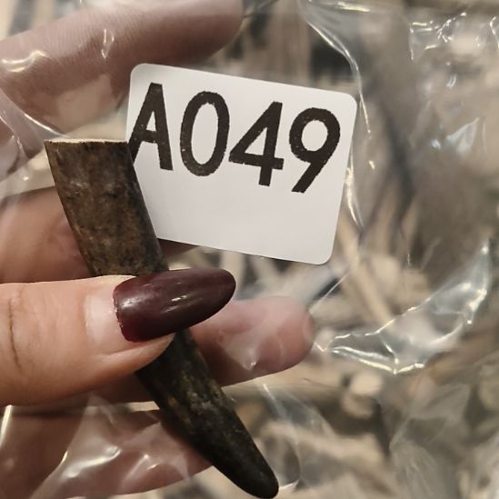 祥***和鹿角鹿角鹿角鹿角鹿角