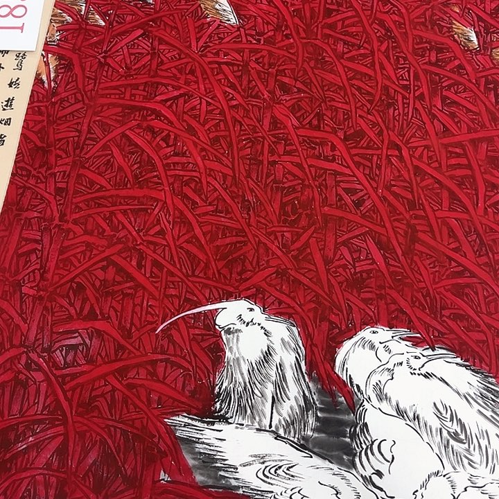 横款微**山新人直播，放大漏