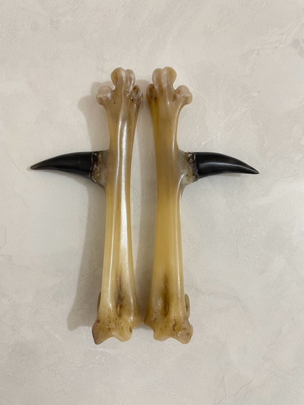 鸡爪骨手把件粗骨小黑胖墩蹬一对