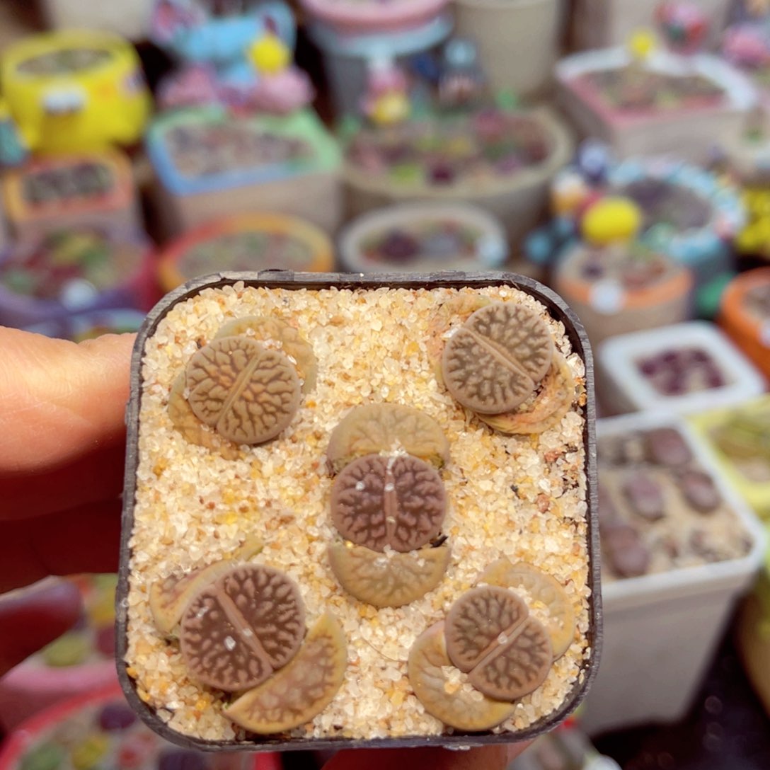 819. 6788568866865798