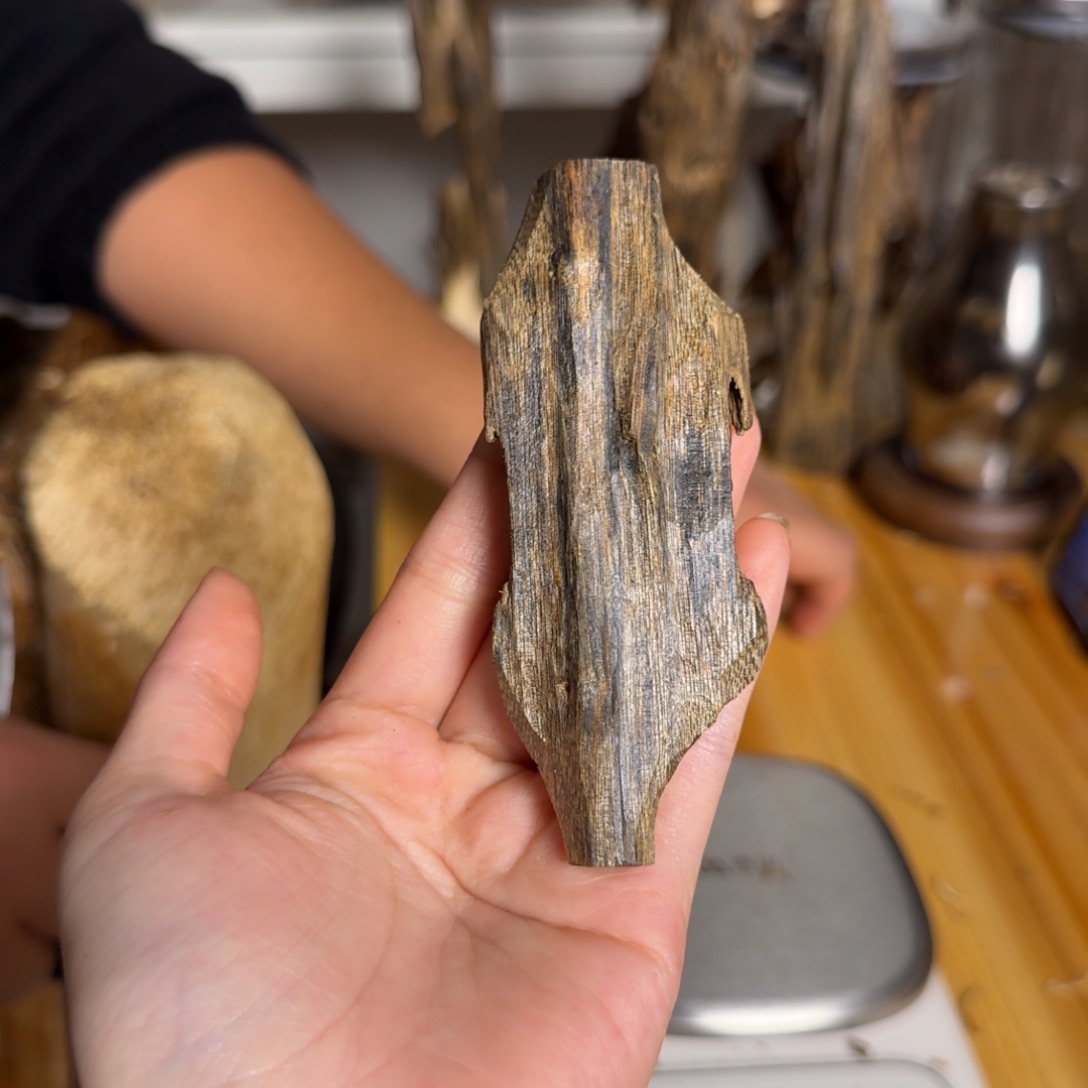 沉香白奇虫漏香12克