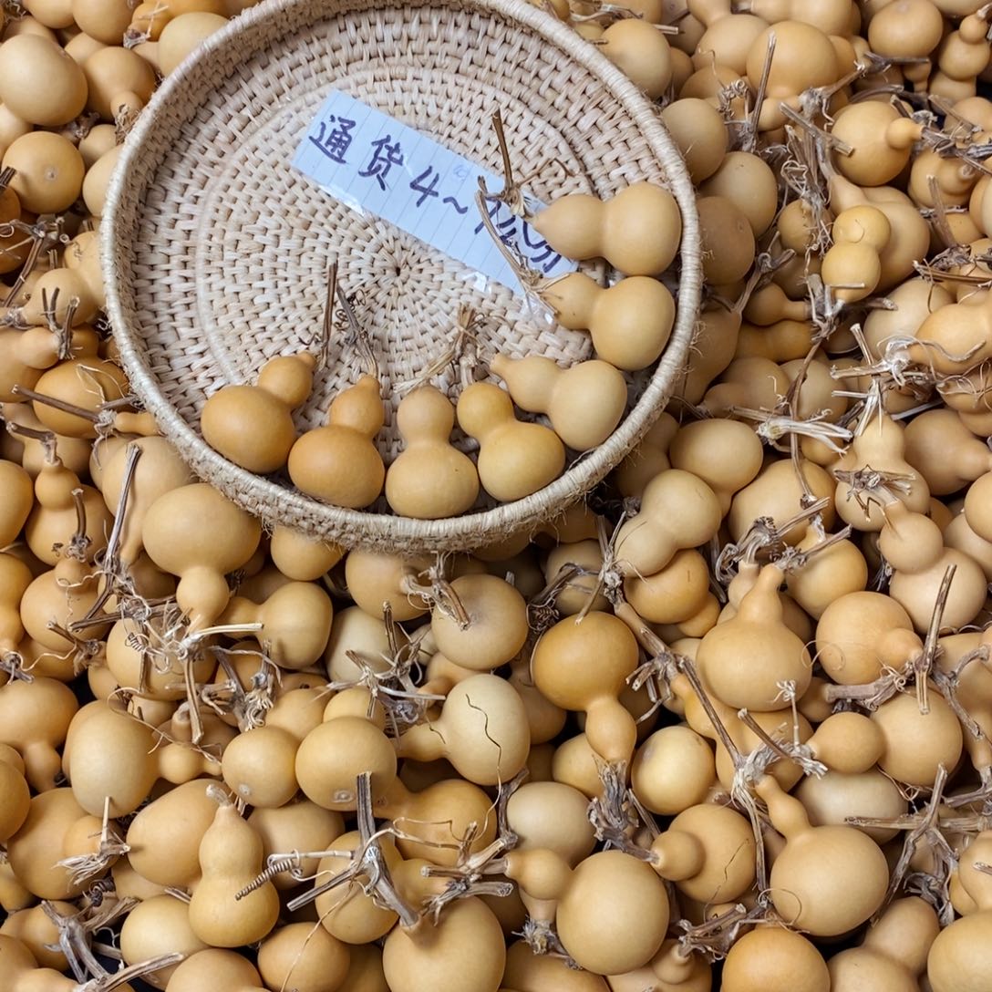 磊造型的专属闪拍