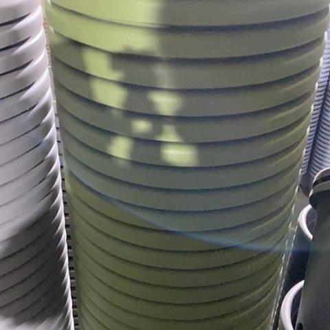 树脂四季5号果绿无托6个