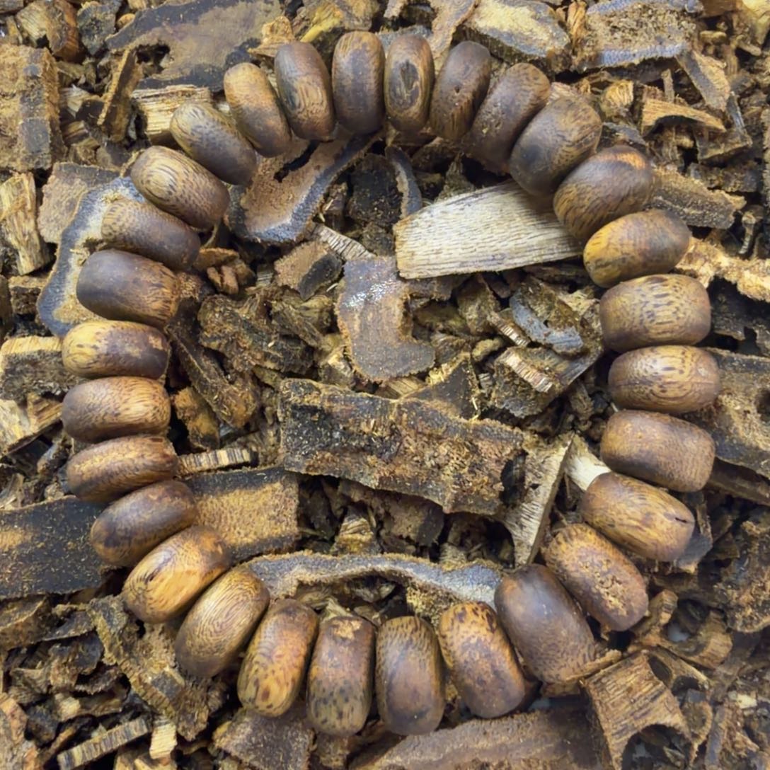 沉香碎屑沉香1.2算盘珠单圈13